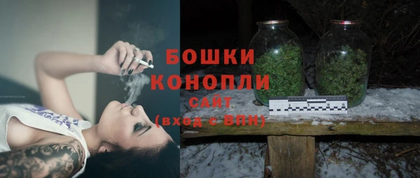 Альфа ПВП Белокуриха